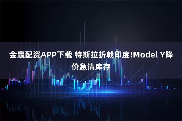 金赢配资APP下载 特斯拉折戟印度!Model Y降价急清库存