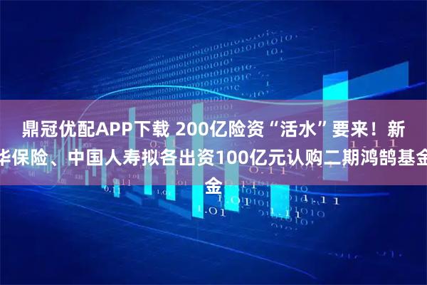 鼎冠优配APP下载 200亿险资“活水”要来！新华保险、中国人寿拟各出资100亿元认购二期鸿鹄基金